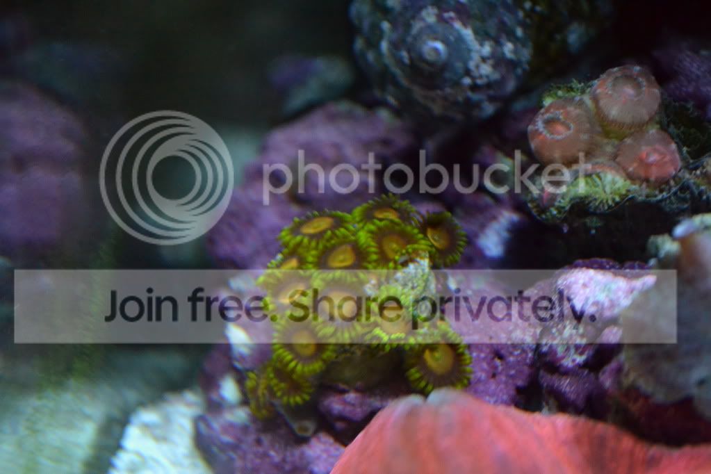 nanoforsale015.jpg
