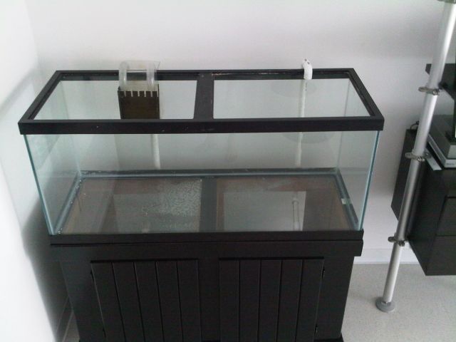 IMG00077-20090419-0932.jpg