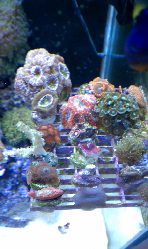 IMAG0056.jpg
