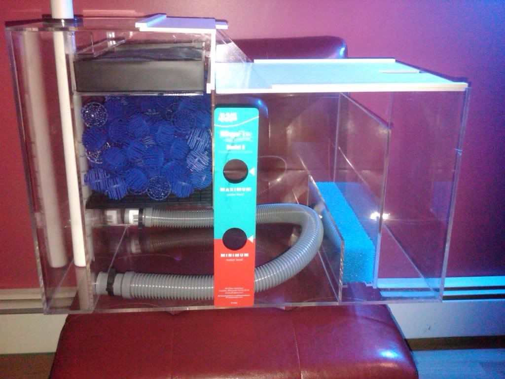 IMG00320-20091229-2200.jpg