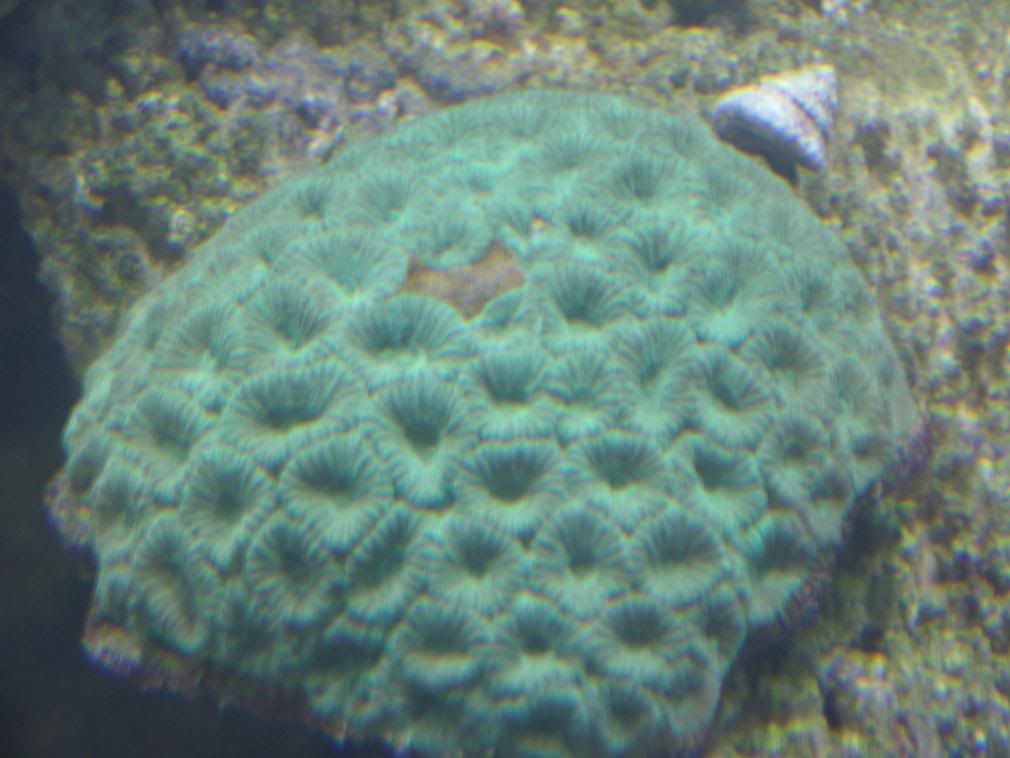 jayfish030-2.jpg