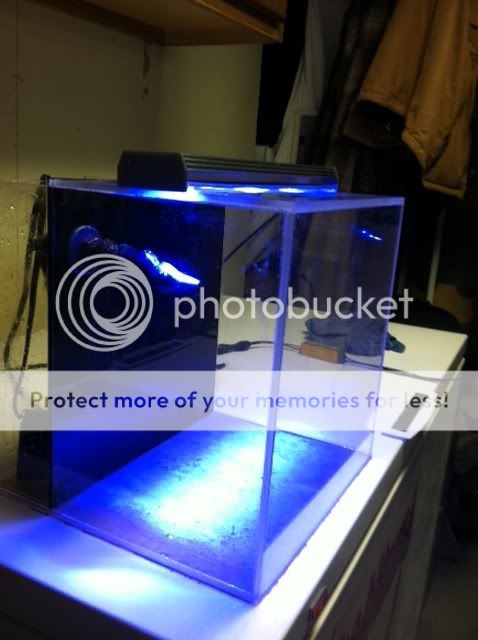 photo7.jpg