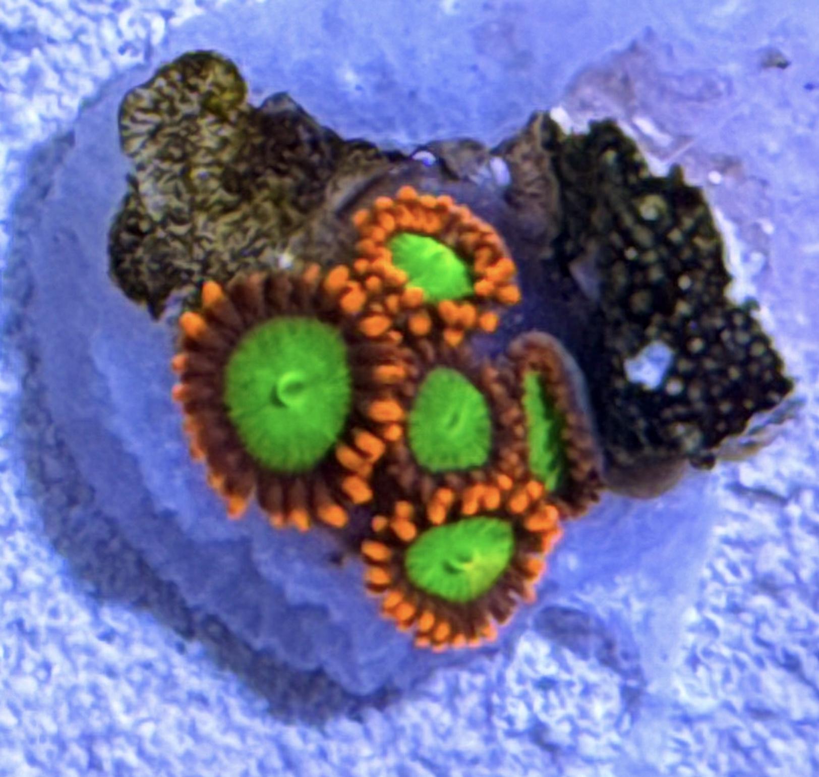 f44ab2132bbf91355c211b20865657d1.jpg