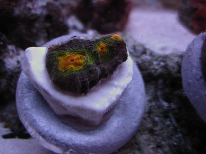 IMG_5347.jpg