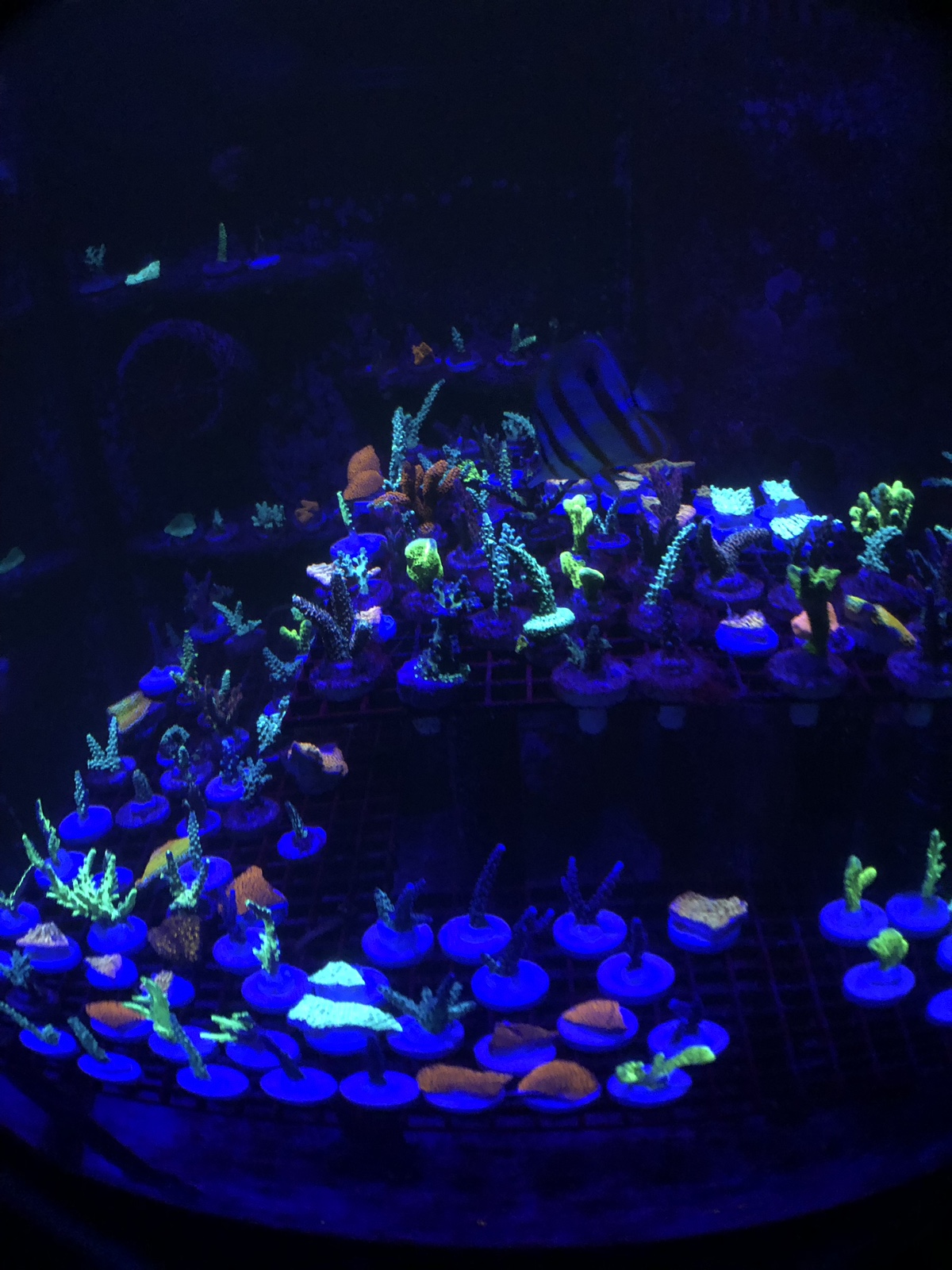 a03ac47627ba1ca39aae0e93e4044f11.jpg