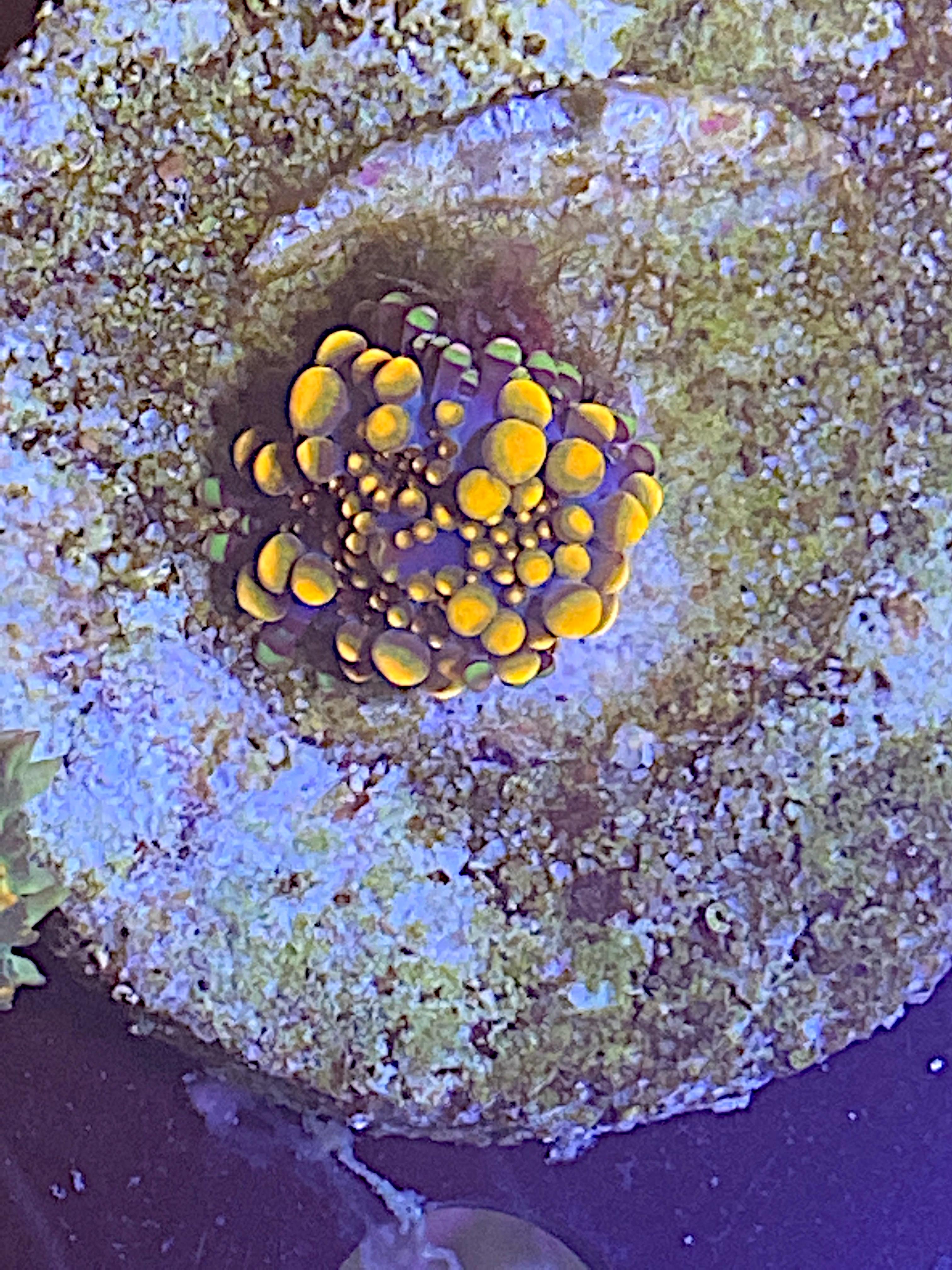 7f51783011c29d1e09fab04ed1d94919.plist