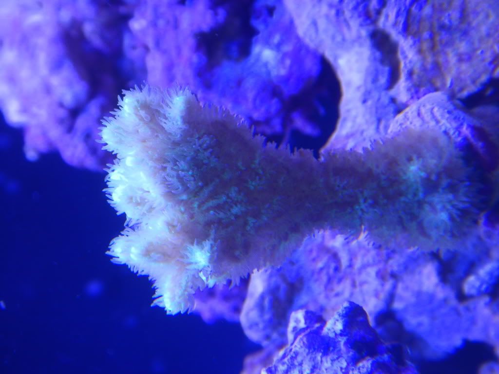 DSCN0223.jpg
