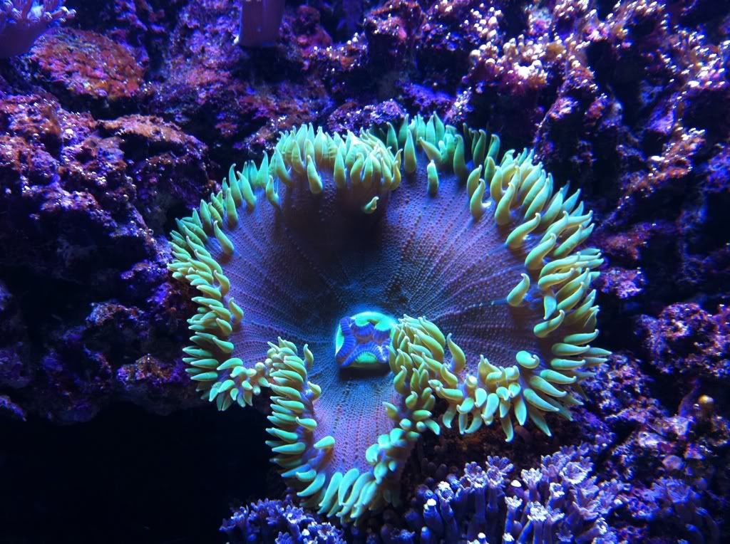 78c0febc.jpg