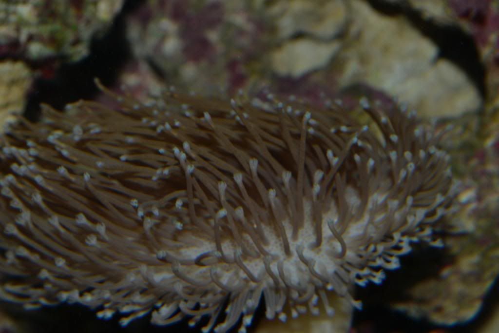 DSC_0035.jpg