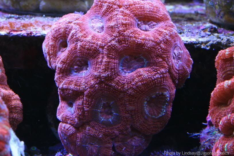 Pic6_S.jpg