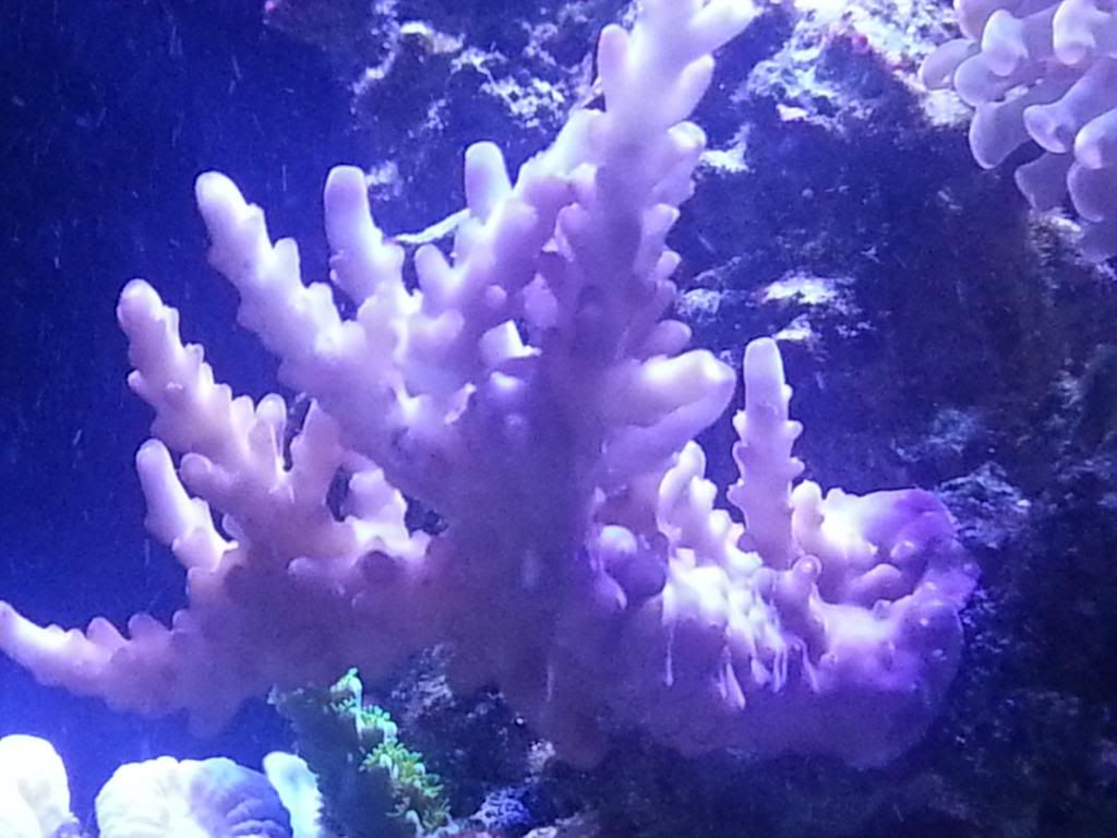 20130526_204545_zpsc5e6382a.jpg