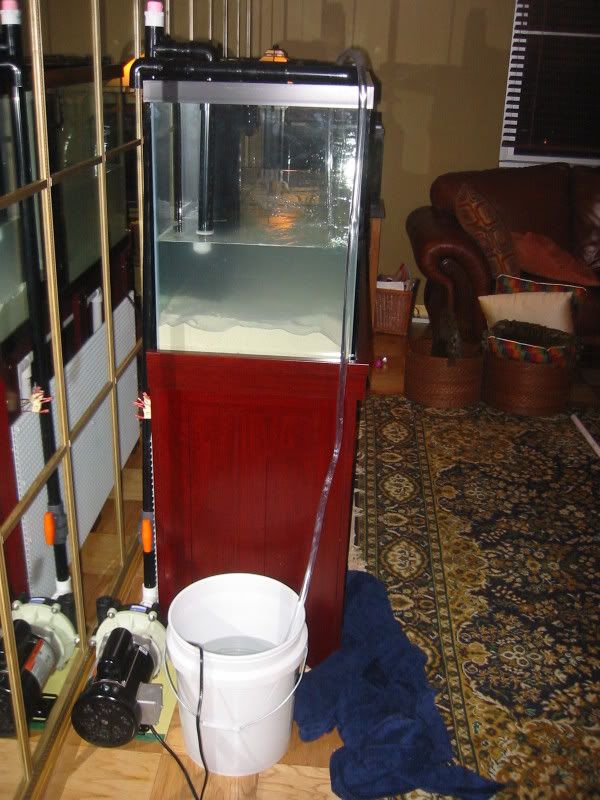 115-1526_IMG.jpg