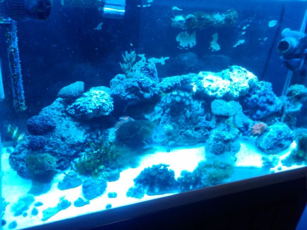 IMG00322-20091229-2200.jpg