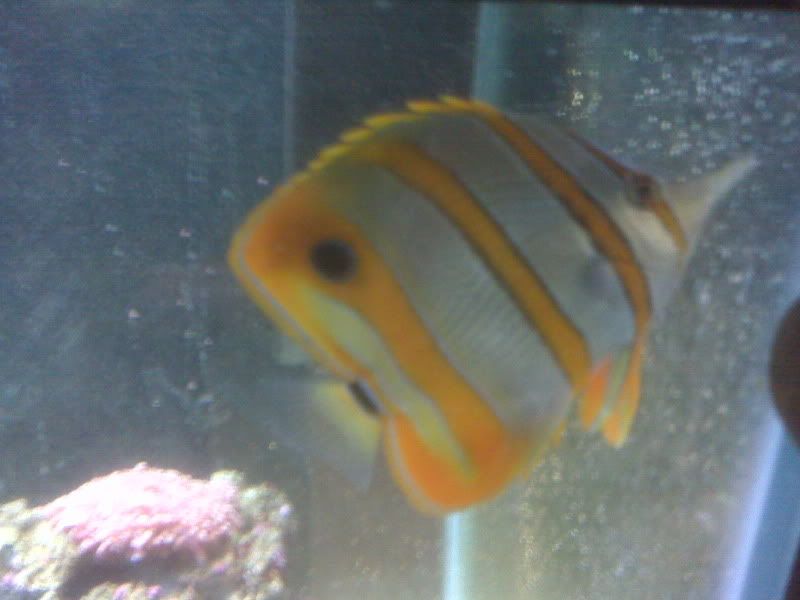 IMG00094.jpg
