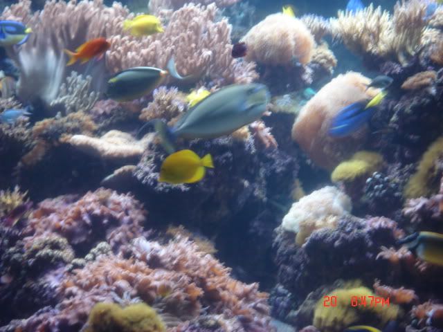 DSC01409.jpg