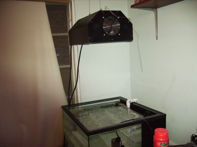 Aqua_02_16_06009.jpg