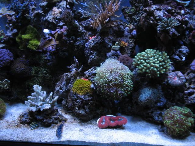 tank020918.jpg
