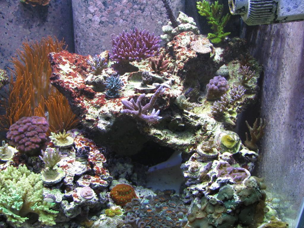 IMG_0170.jpg