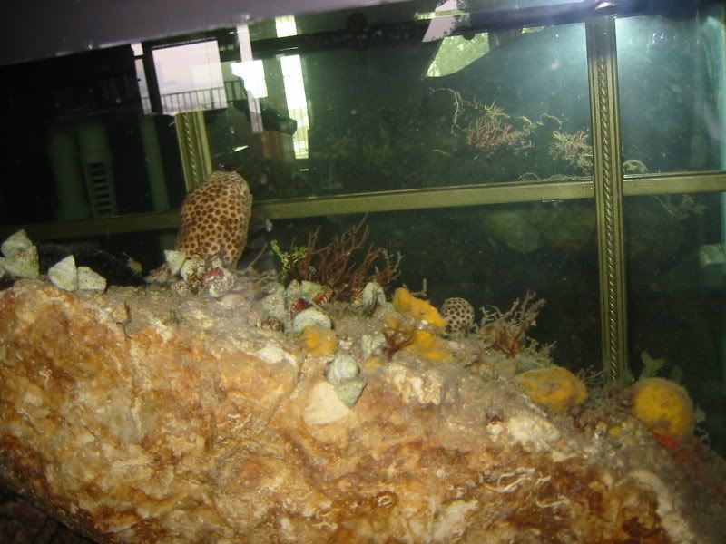 115-1556_IMG.jpg
