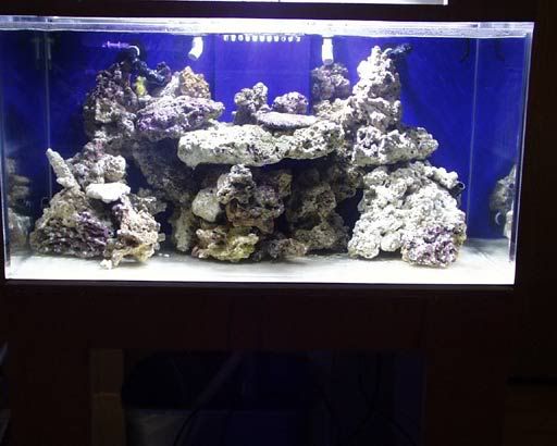 120-aquascaping6.jpg
