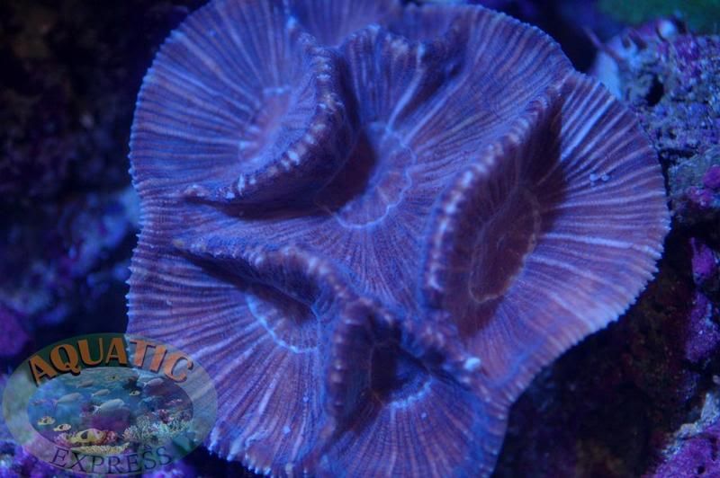 DSC_0042.jpg