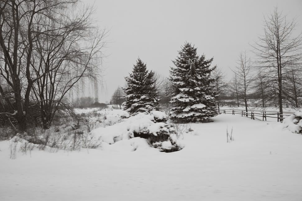 IMG_3867_bw.jpg