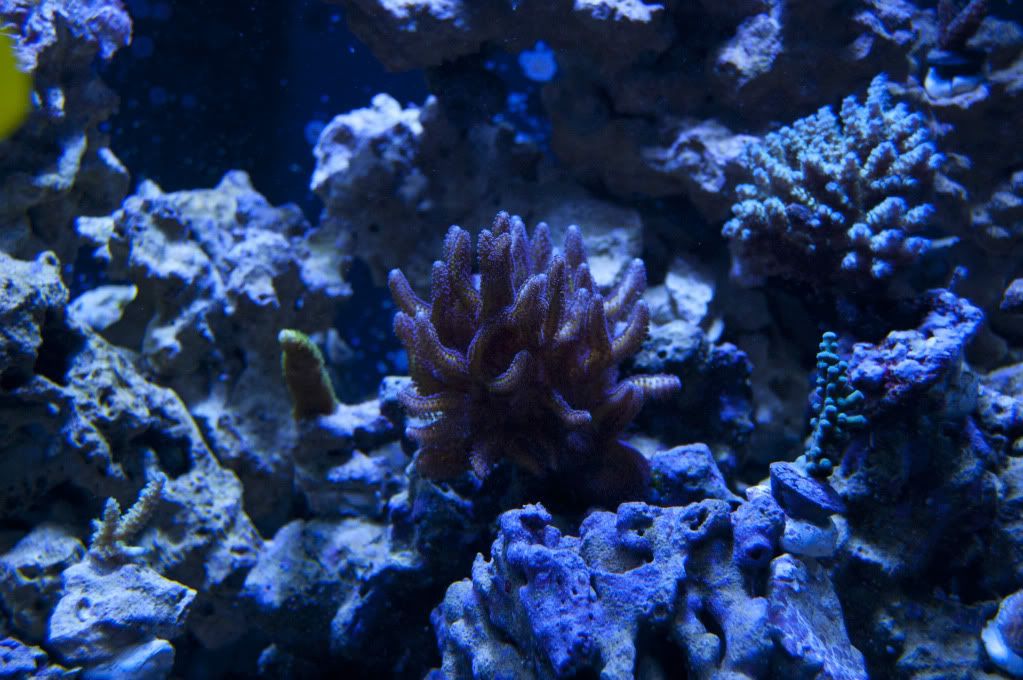 DSC_0053.jpg
