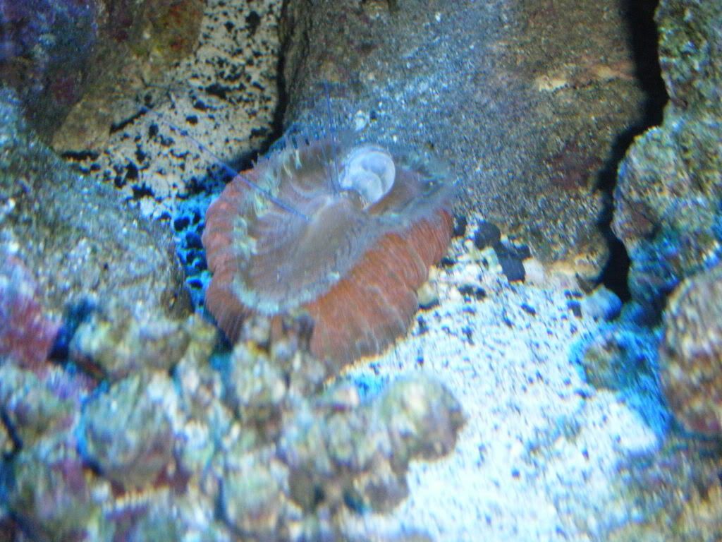 DSCF0208.jpg