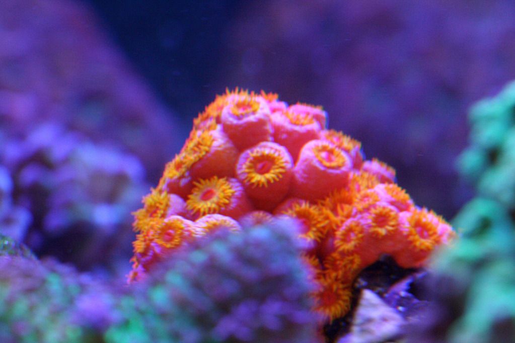 IMG_0067.jpg