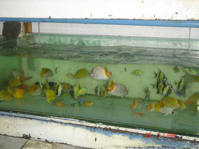 DSC09137.jpg