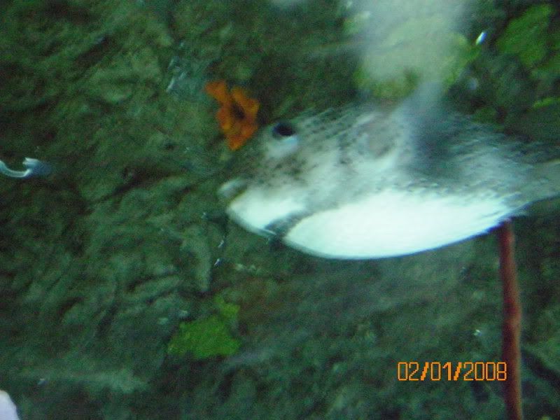 100_0115.jpg