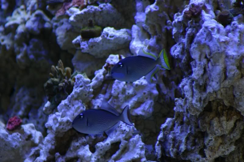 8e0c469b.jpg