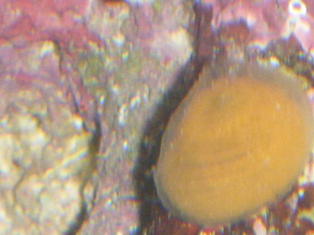 DSCF0333.jpg