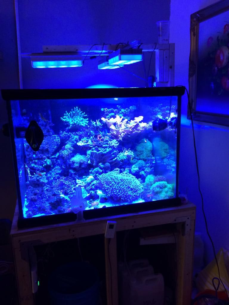 cube_zps8002f415.jpg