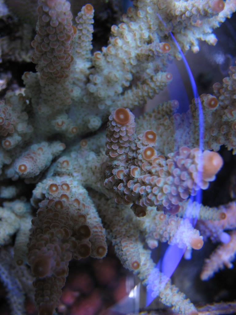 IMG_1045.jpg