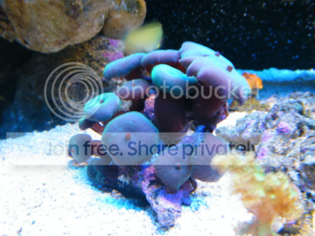 DSCF8319.jpg