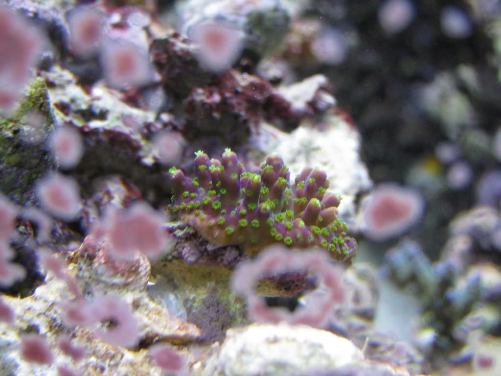 IMG_0853.jpg