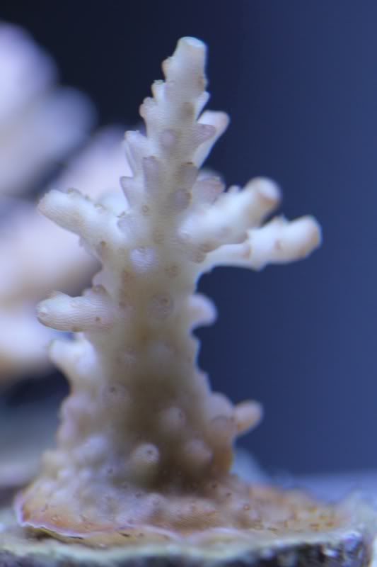 c3587e2e.jpg