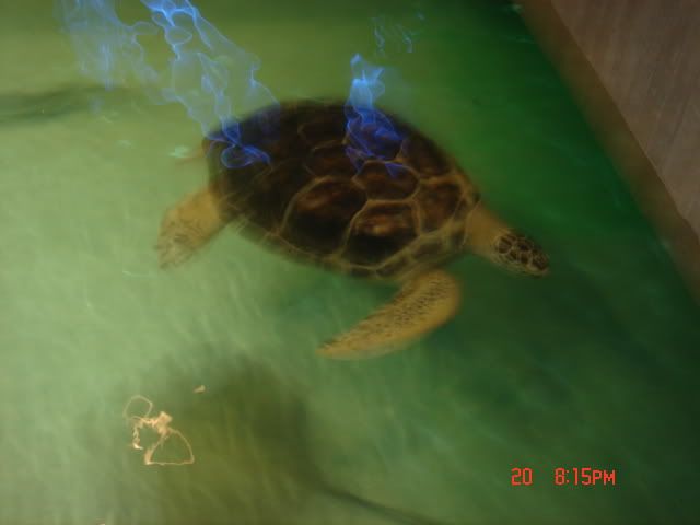 DSC01320.jpg