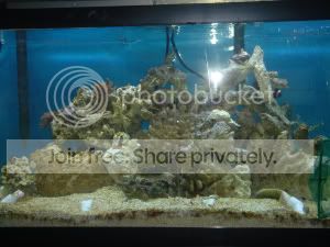 DSC01410.jpg