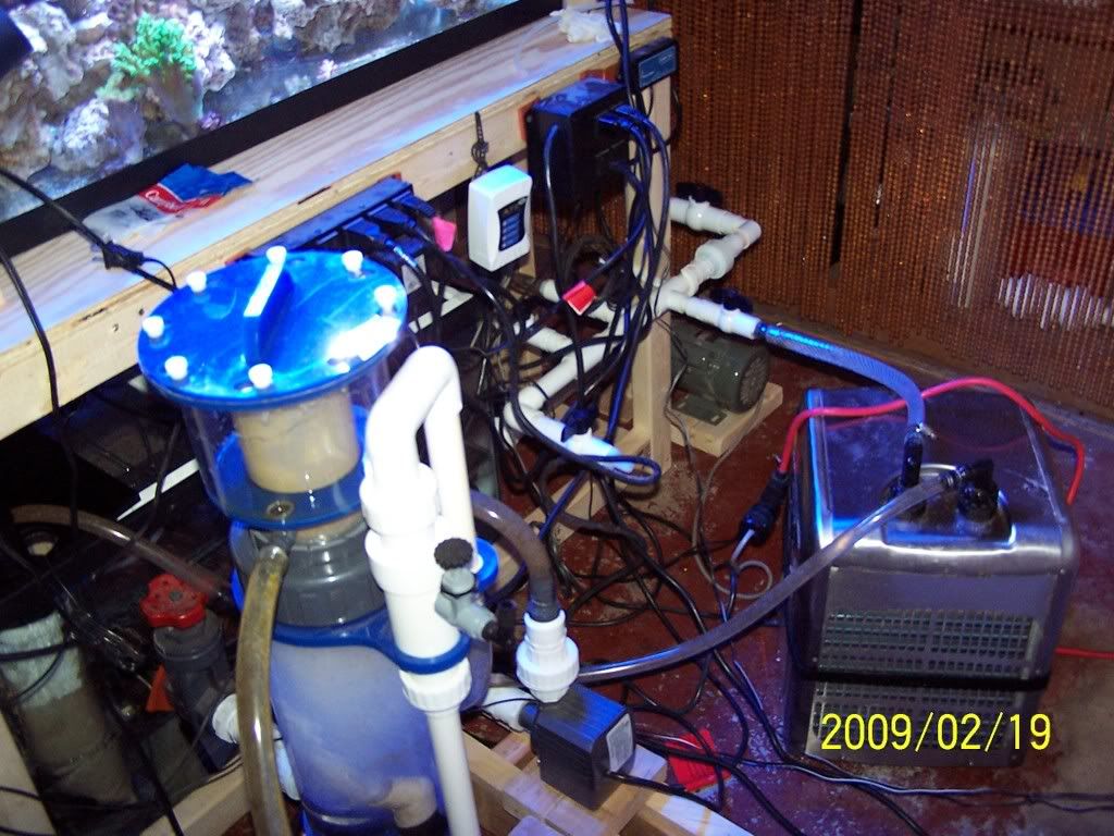 100_4945.jpg