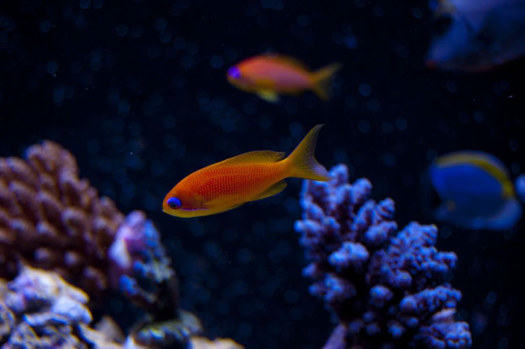 DSC_0416.jpg