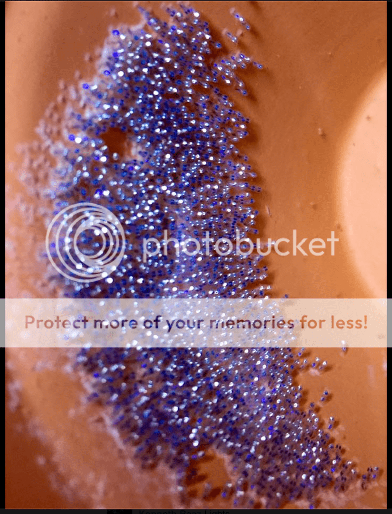 Screen%20Shot%202015-10-11%20at%203.12.10%20PM_zpsuxxwbckv.png