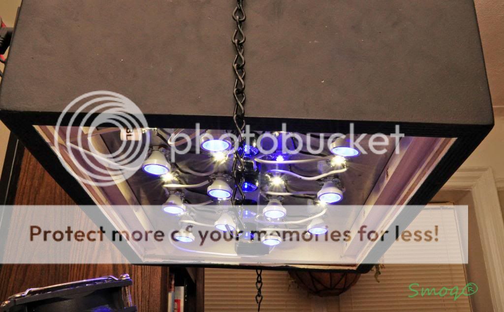 ledshanging.jpg