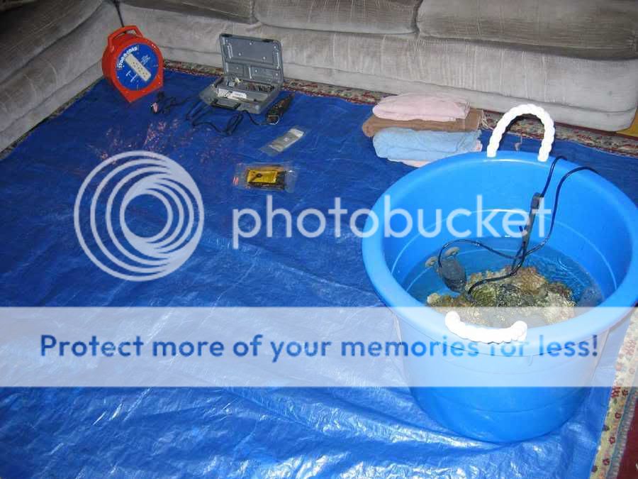 TarpbucketwithLRdremelcabletiesblan.jpg