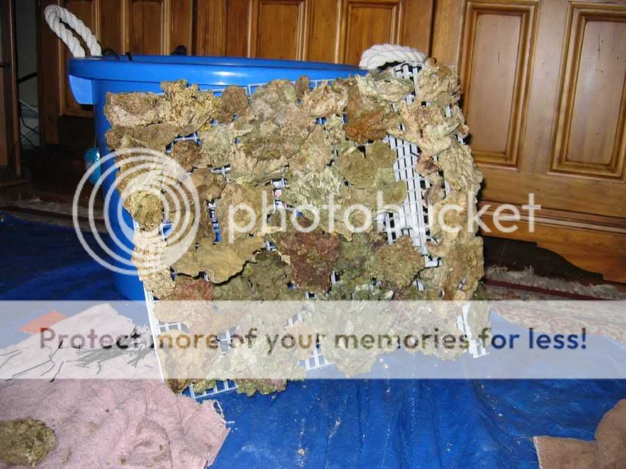 unfinishedwalloutsideoftank.jpg
