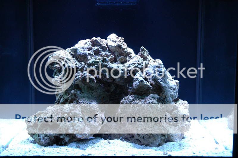 frontview.jpg