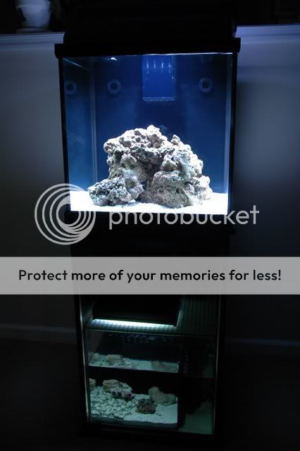 fullshot013107.jpg