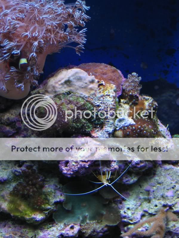 IMG_1067.jpg
