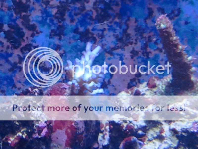 2011-09-22164540.jpg